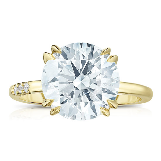 4.02 Carat Round Brilliant Cut DE 2000 | Marisa Perry by Douglas Elliott